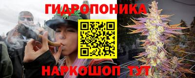 мдпв Татарск