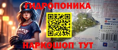 гашик Ставрополь