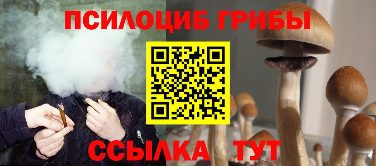 Галлюциногенные грибы Psilocybe Нефтекамск
